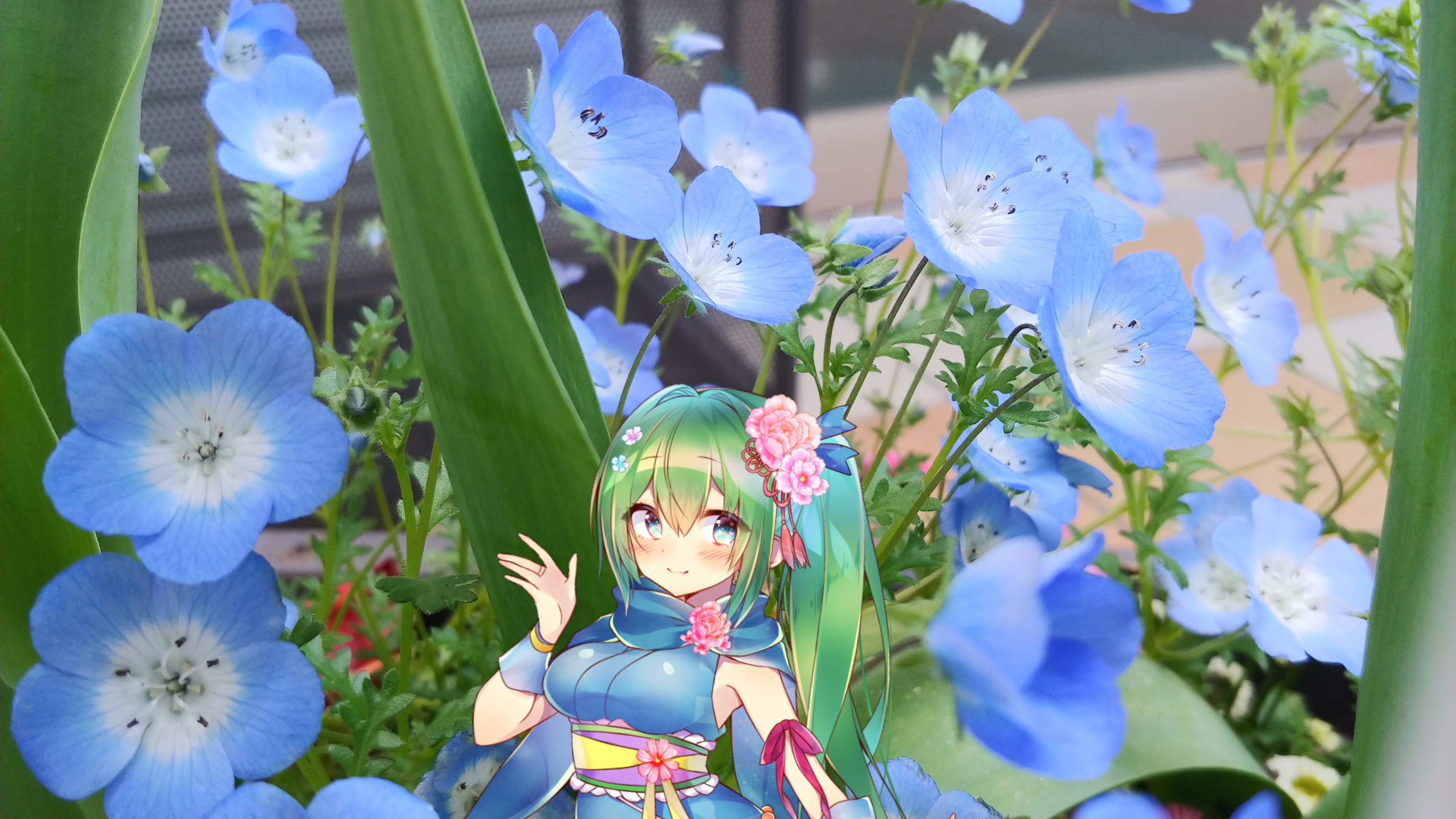 ネモフィラの花言葉と花騎士と はなとお花と花騎士と