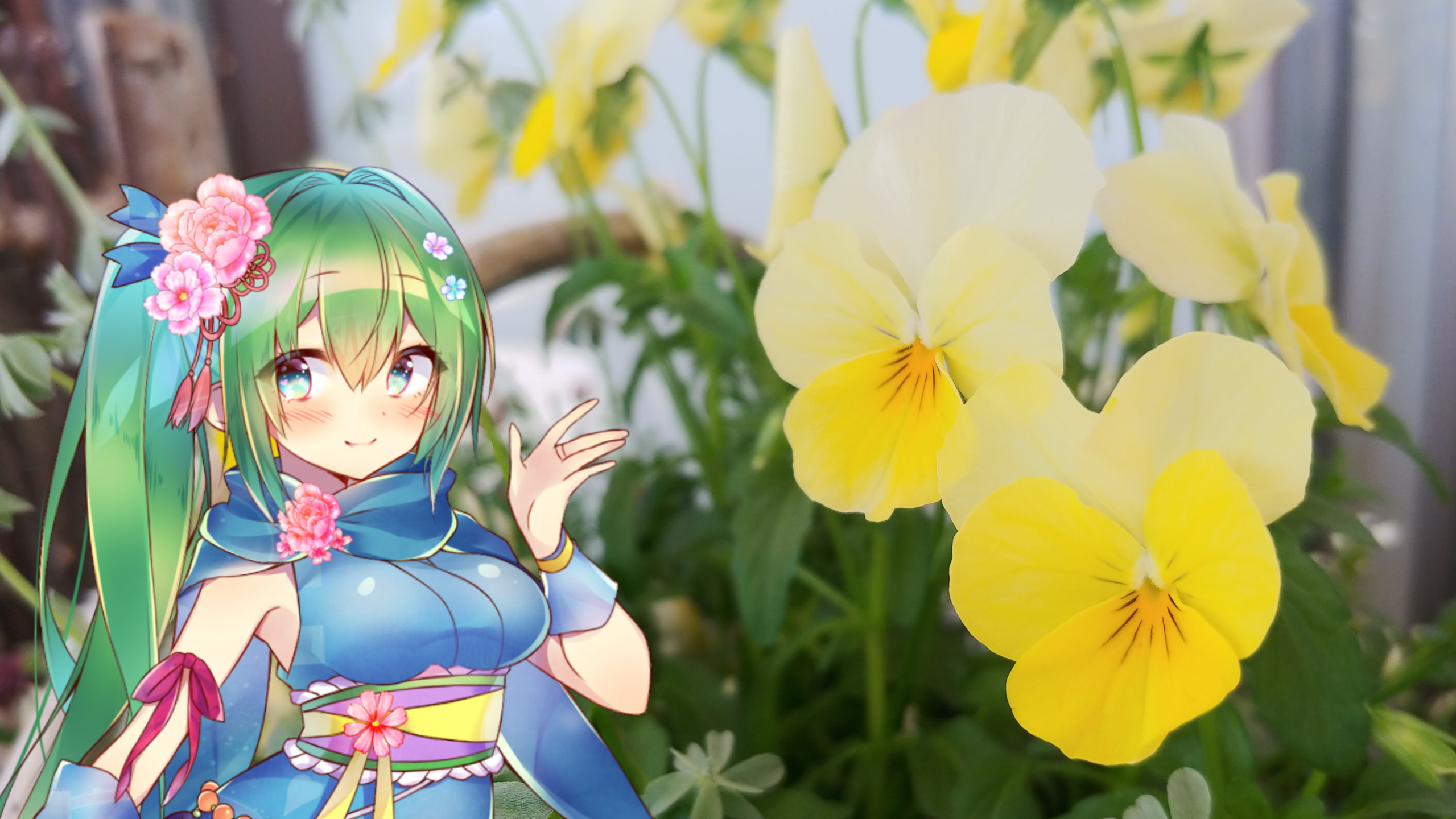 イエローパンジーの花言葉と花騎士と はなとお花と花騎士と