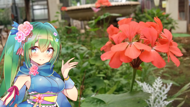 ゼラニウムの花言葉と花騎士と ゼラニウムの花言葉と花騎士と