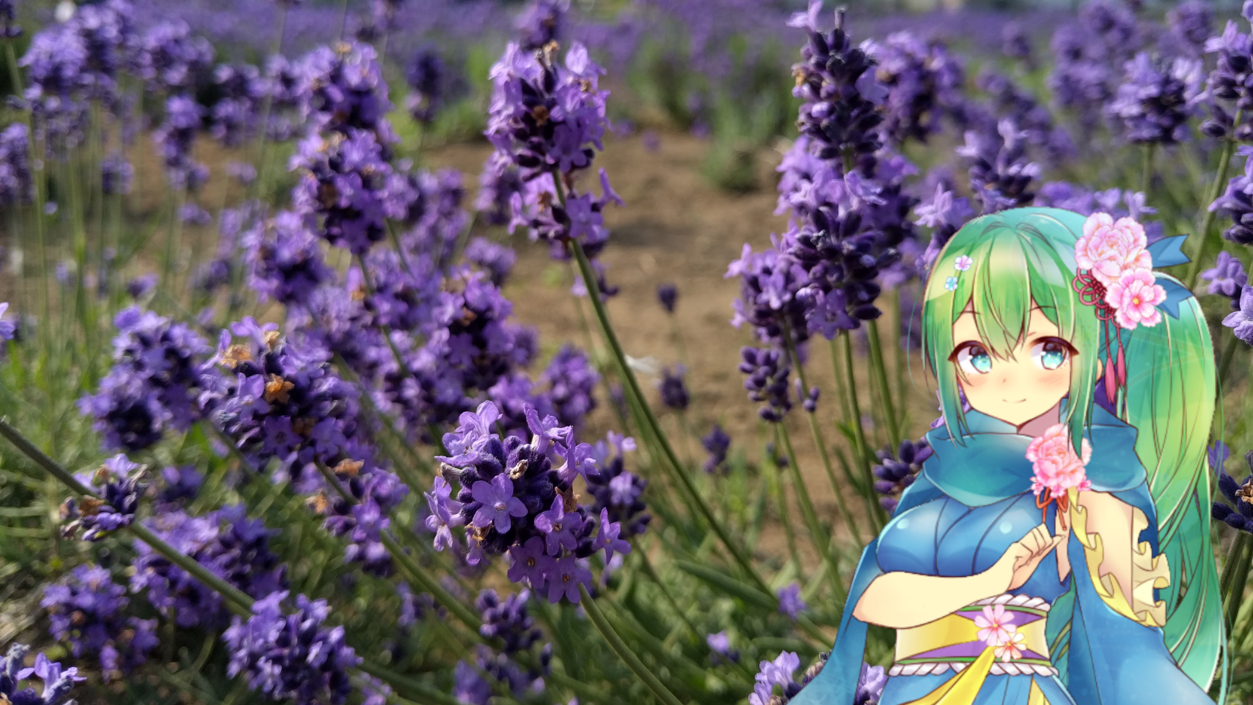 ラベンダーの花言葉と花騎士と はなとお花と花騎士と