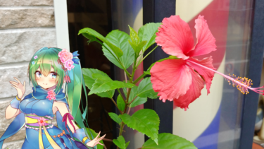 バナナオーシャン はなとお花と花騎士と