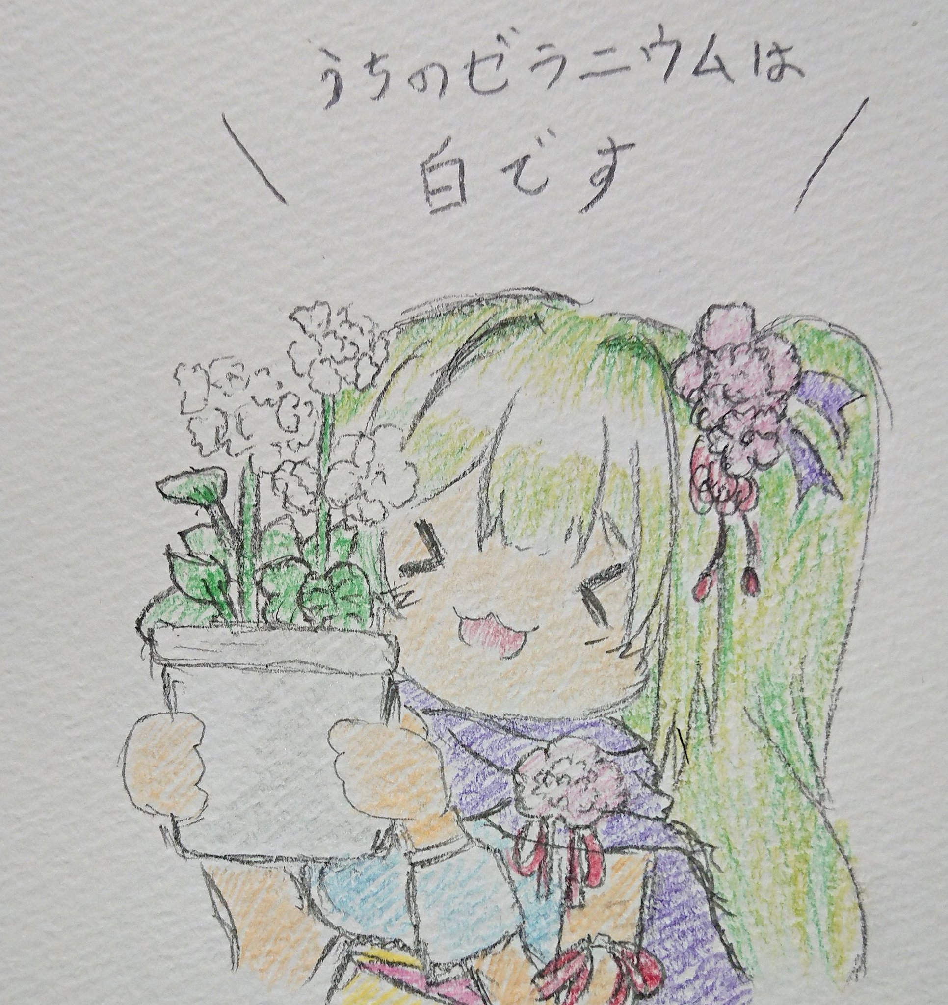 ゼラニウムの花言葉と花騎士と