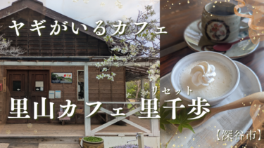 深谷市に「ヤギがいるカフェ」があるって知ってた？里山カフェ里千歩でほっこりしましょ♪