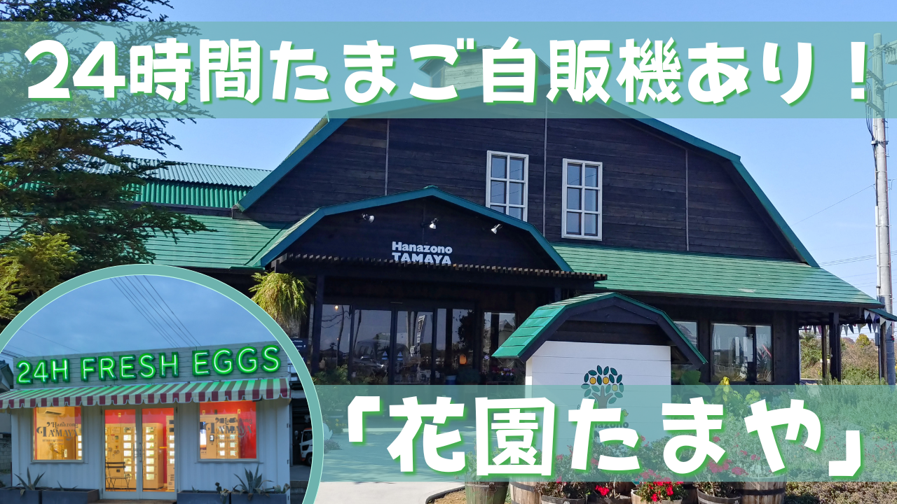 花園たまやの新鮮たまごとプリンが最高！24時間自販機もある深谷の養鶏