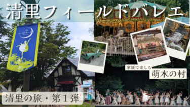 【清里フィールドバレエ】星空の下、幻想の一夜🩰萌木の村で観る野外バレエ「ラ・シルフィード」