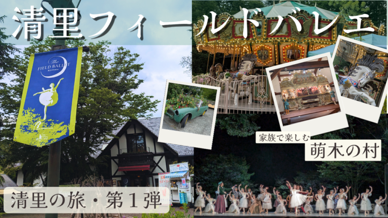 清里フィールドバレエ　萌木の村
